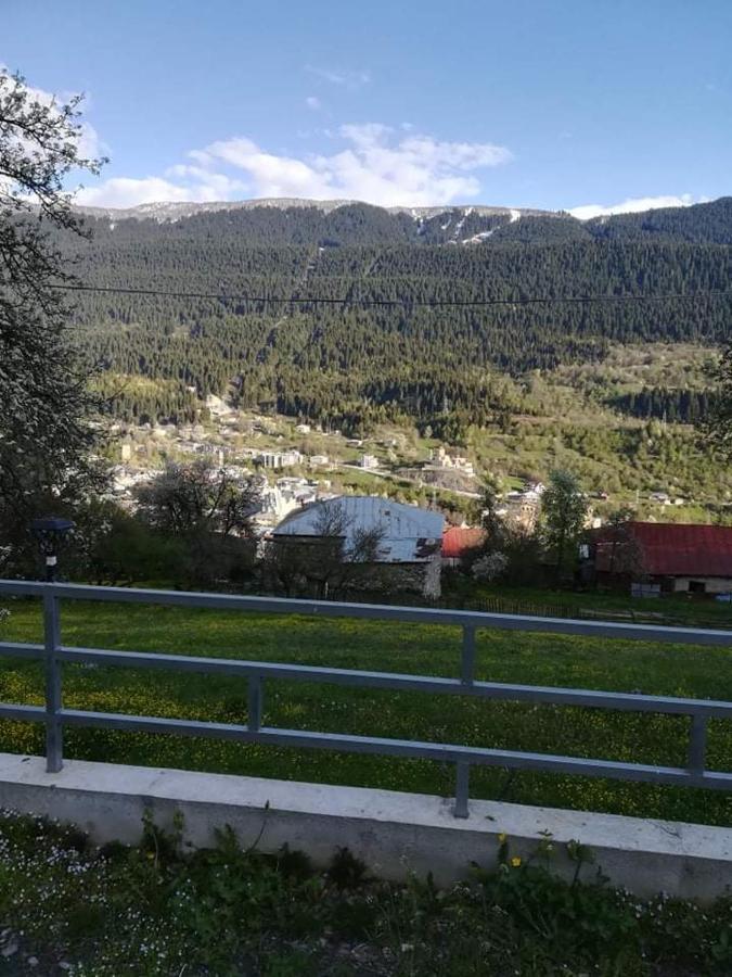 Valodia Guest House In Местия Екстериор снимка